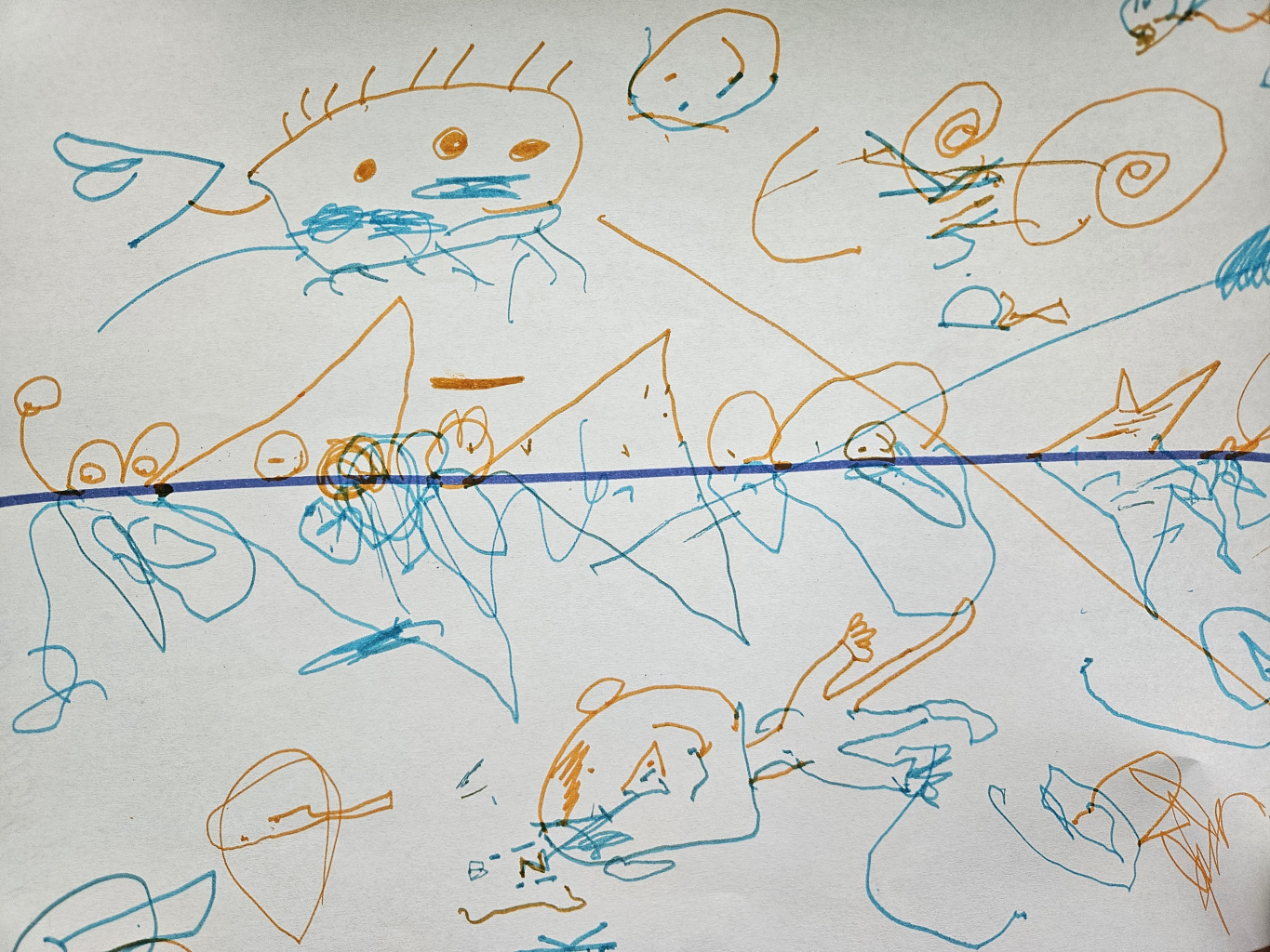 20250317_080054.jpg